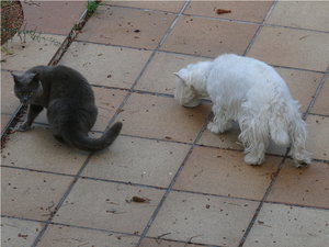 Moritz und Silva005.jpg