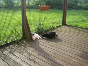 Sonnenmontag 004.jpg