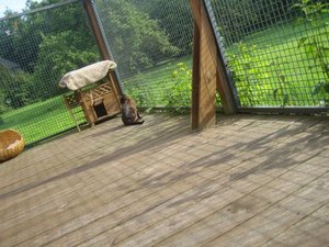 Sonnenmontag 009.jpg