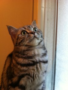 März, April, Mai 029.JPG