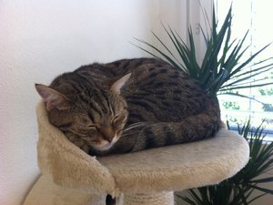 März, April, Mai 024.JPG