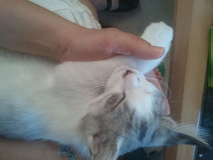 2012-05-24 15.42.36.jpg