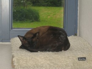 Draußen und drinnen und mehr 013.jpg