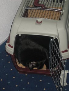 Draußen und drinnen und mehr 014.jpg