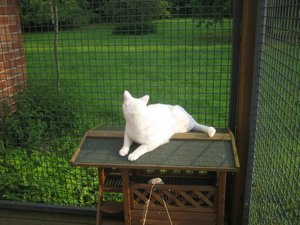 Draußen und drinnen und mehr 001.jpg