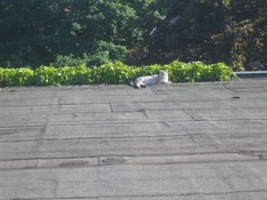 Draußen und drinnen und mehr 003.jpg