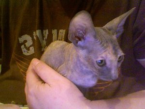 Foto am 01-06-2012 um 23.46.jpg