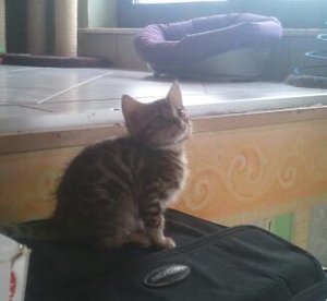 2011-01-06 15.33.27-1.jpg