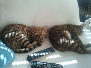 2012-04-01 15.12.01.jpg