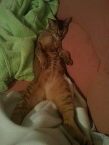 2012-04-22 01.35.29.jpg