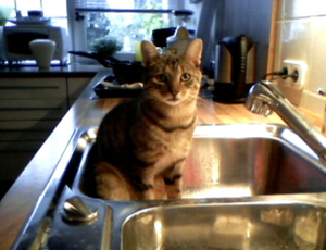 Bildschirmfoto 2010-09-17 um 07.31.18.png