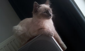 2012-02-13 12.20.14.jpg