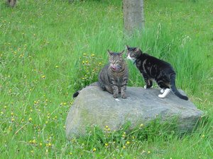 DSC00033 (Large).JPG