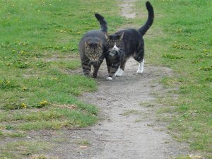 DSC00044 (Large).JPG