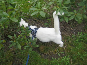 Urlaub 2011 im April 080.jpg