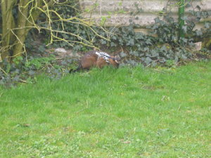 Urlaub 2011 im April 063.jpg