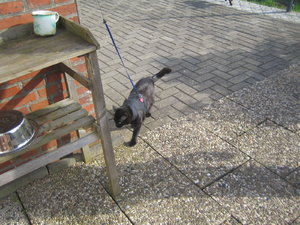 Urlaub 2011 im April 115.jpg