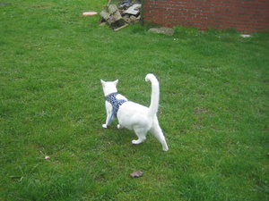 Urlaub 2011 im April 073.jpg