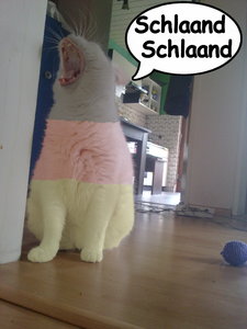 Marple Deutschland.jpg