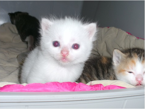 Bildschirmfoto 2012-06-05 um 21.05.45.png