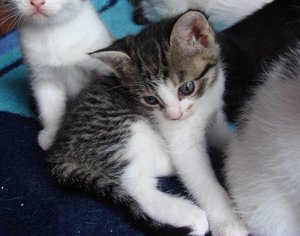 kleines Maedchen_02.jpg