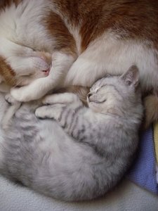 Lucky und Susi_1.jpg