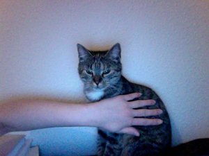 Foto am 20-06-2012 um 21.17.jpg