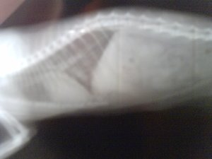 P1833_23-06-11.JPG P1833_23-06-11.JPG