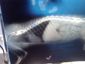 P1804_23-06-11.JPG P1804_23-06-11.JPG