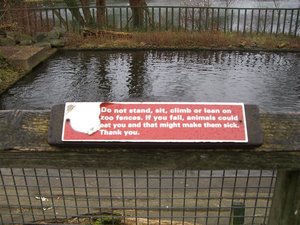 CIMG0101 (Klein).JPG