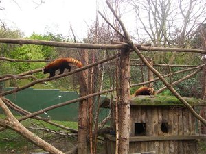 CIMG0136 (Klein).JPG