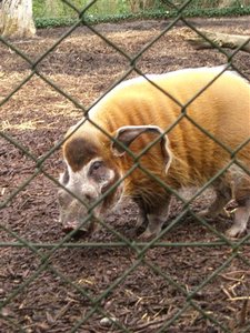 CIMG0080 (Klein).JPG