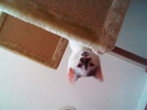 lass mich runter.jpg