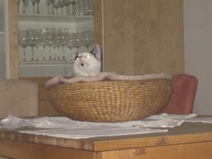 Neue zu Hause und altes zu Hause 024.jpg