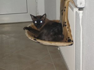 heute morgen 002.jpg