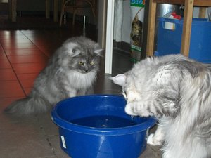 Trofu fischen 014.jpg