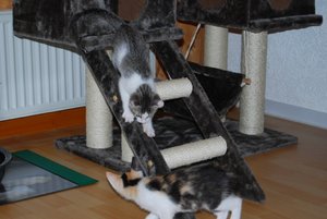 Kopie von DSC_0040.JPG