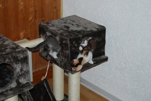 Kopie von DSC_0050.JPG