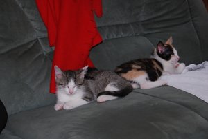 Kopie von DSC_0054.JPG