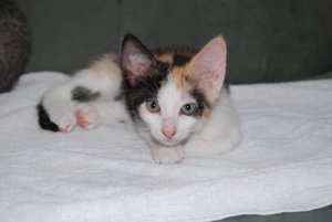 Kopie von DSC_0063.JPG