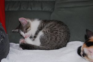 Kopie von DSC_0064.JPG