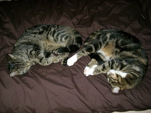 Beide aufen Bett.jpg