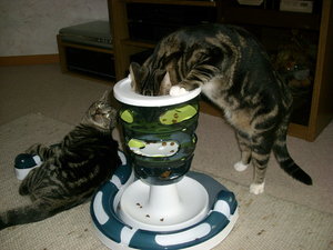 Happy und das Fresslabyrint.jpg