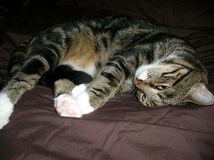 Happy aufen Bett.jpg