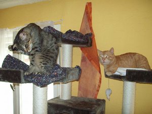 emil und moses 006.jpg