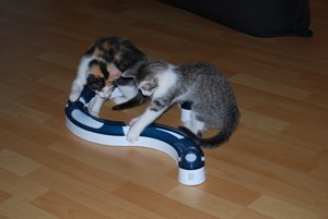 Kopie von DSC_0076.JPG