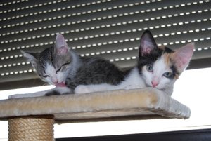 Kopie von DSC_0133.JPG