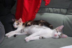 Kopie von DSC_0136.JPG