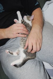 Kopie von DSC_0153.JPG