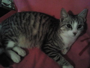 2012-03-18 23.36.53.jpg